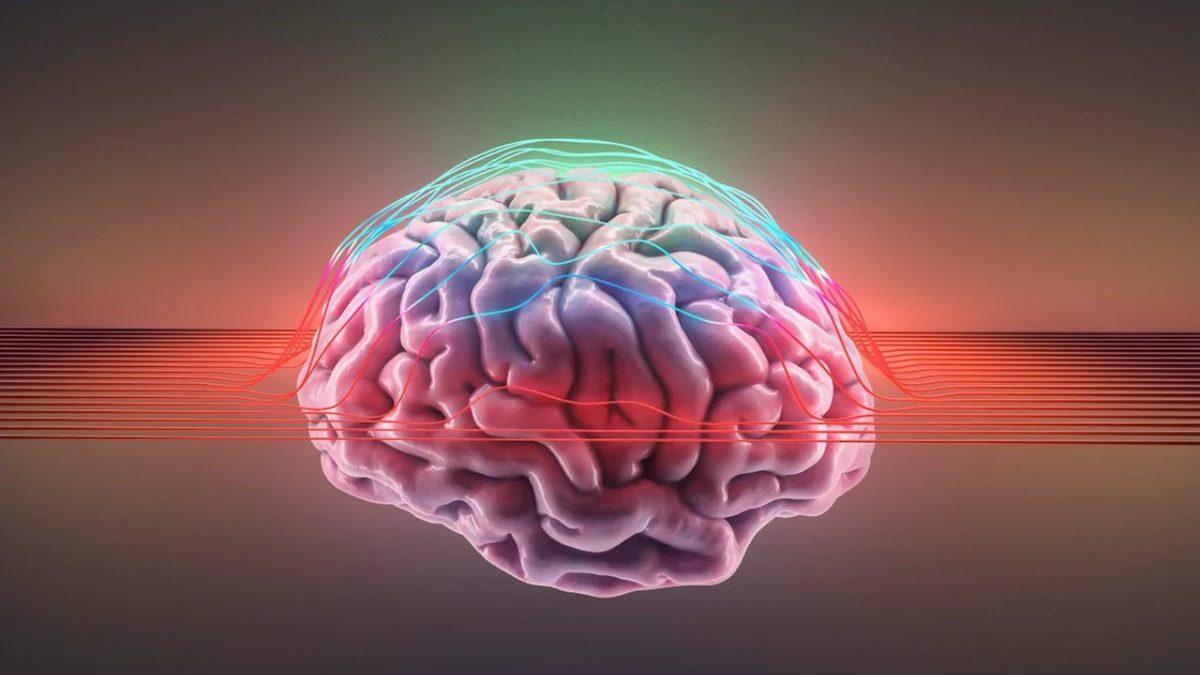 Gün İçinde Kısa Süreli Bir Şekerleme Yapmak Sağlığınız İçin Gerçekten Faydalı mıdır, Yoksa Tam Tersi mi?