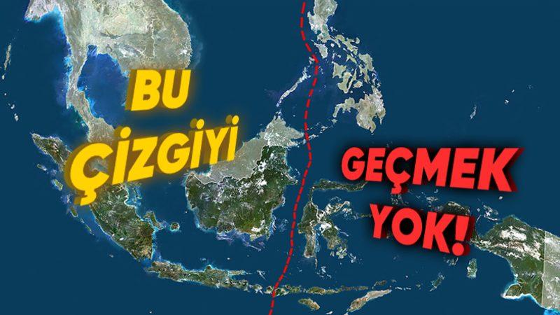 Görünmez Bariyer: Neden Pek Çok Hayvan Wallace Hattı’ndaki Bu Görünmez Çizgiyi Geçemez?