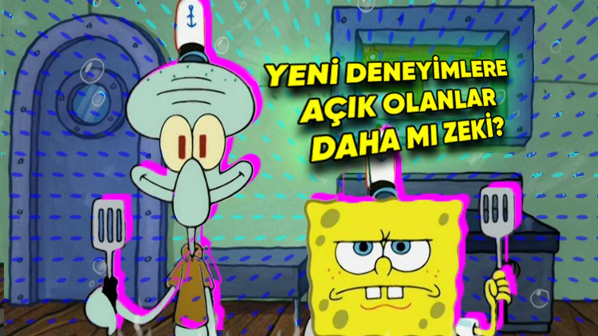 Hep Aynı Yere Gitmekten, Aynı Filmi İzlemekten Hoşlanıyorsanız Bu İçeriği Okumanızda Fayda Var: Bu Durum Bilime Göre Zekâ ile İlişkili!