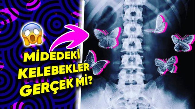 Sıkça Kullandığımız "Birinden Elektrik Almak" ya da “Midemde Kelebekler Uçuşuyor” Tabirleri Fizyolojik Açıdan Gerçek Olabilir mi?