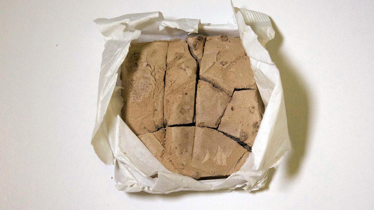 Astronotların Uzayda Yemesi Yasak Gıda ve İçecekler Hangileri?