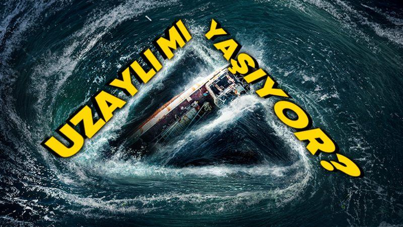 Gemiler Neden Gizemli Bermuda Şeytan Üçgeni’nden Geçmek İstemez? Hayır, Arkasında Komplo Teorisi Yok!