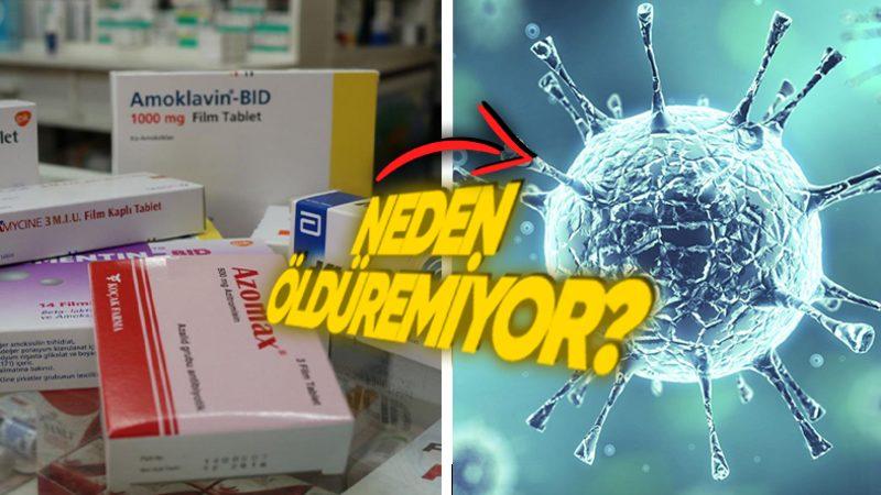 Her Hasta Olduğunda Antibiyotiklere Koşanlar Buraya: Virüsler Neden Antibiyotiklerden Etkilenmez?