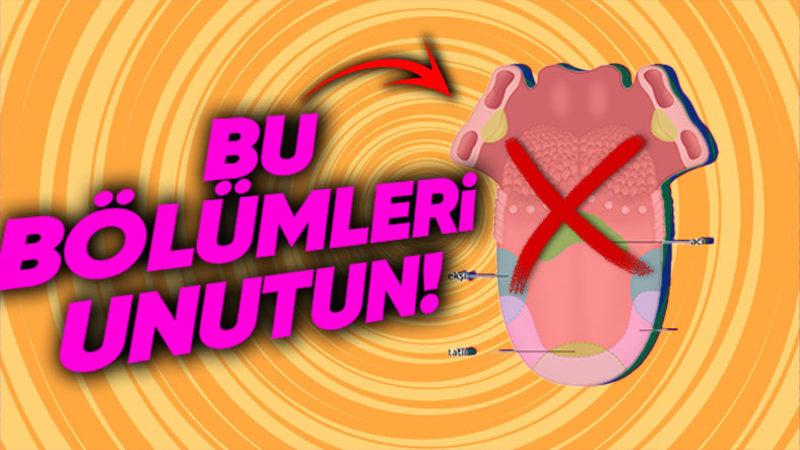 Dilin Her Bölgesi Farklı Tatları Algılıyor Bilgisi Gerçeği Yansıtıyor mu Yoksa Sadece Şehir Efsanesi mi?