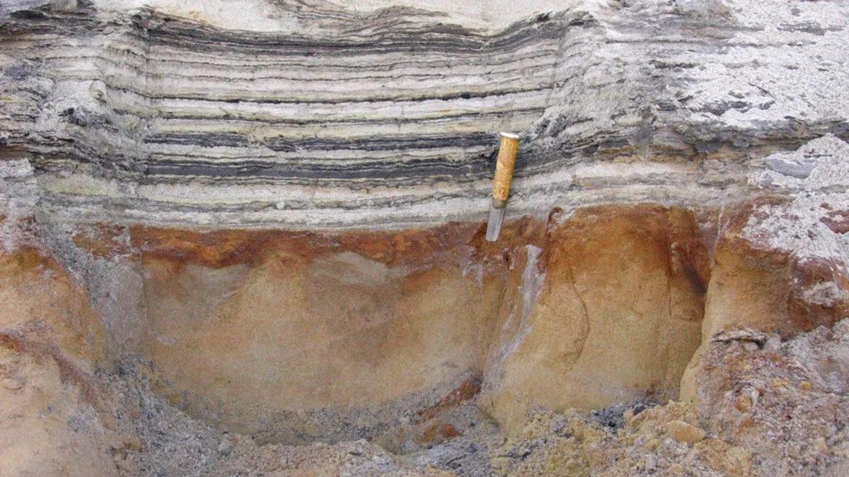 Dünyada Şimdiye Kadar Keşfedilen En Eski DNA Kanıtı Kaç Yaşındaydı?