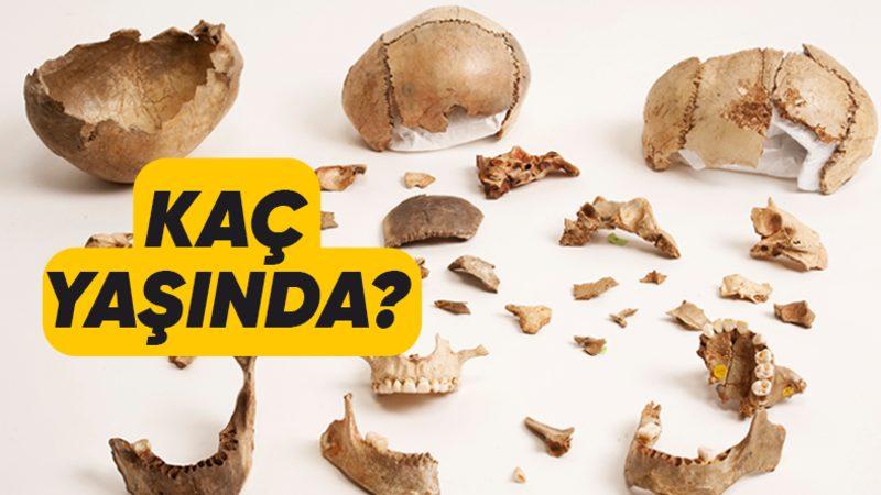 Dünyada Şimdiye Kadar Keşfedilen En Eski DNA Kanıtı Kaç Yaşındaydı?