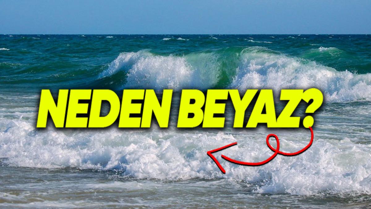 Mavi Görünen Denizde Oluşan Dalgalar Neden Beyaz Görünüyor?
