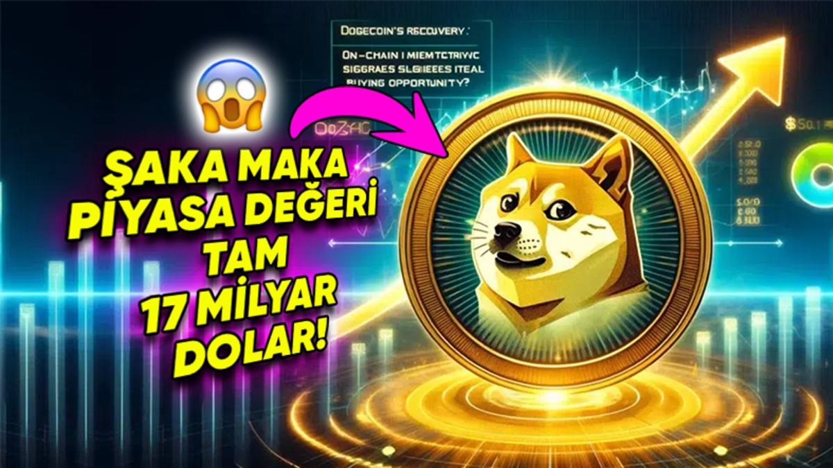 Sadece Şaka Olsun Diye Yaratılan Dogecoin Nasıl Oldu da Değeri Milyarlarca Doları Bulan Bir Yatırım Aracı Hâline Geldi?