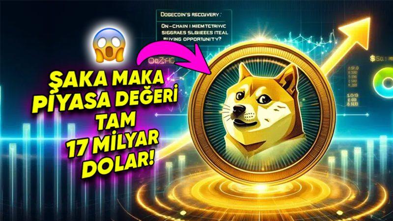 Sadece Şaka Olsun Diye Yaratılan Dogecoin Nasıl Oldu da Değeri Milyarlarca Doları Bulan Bir Yatırım Aracı Hâline Geldi?