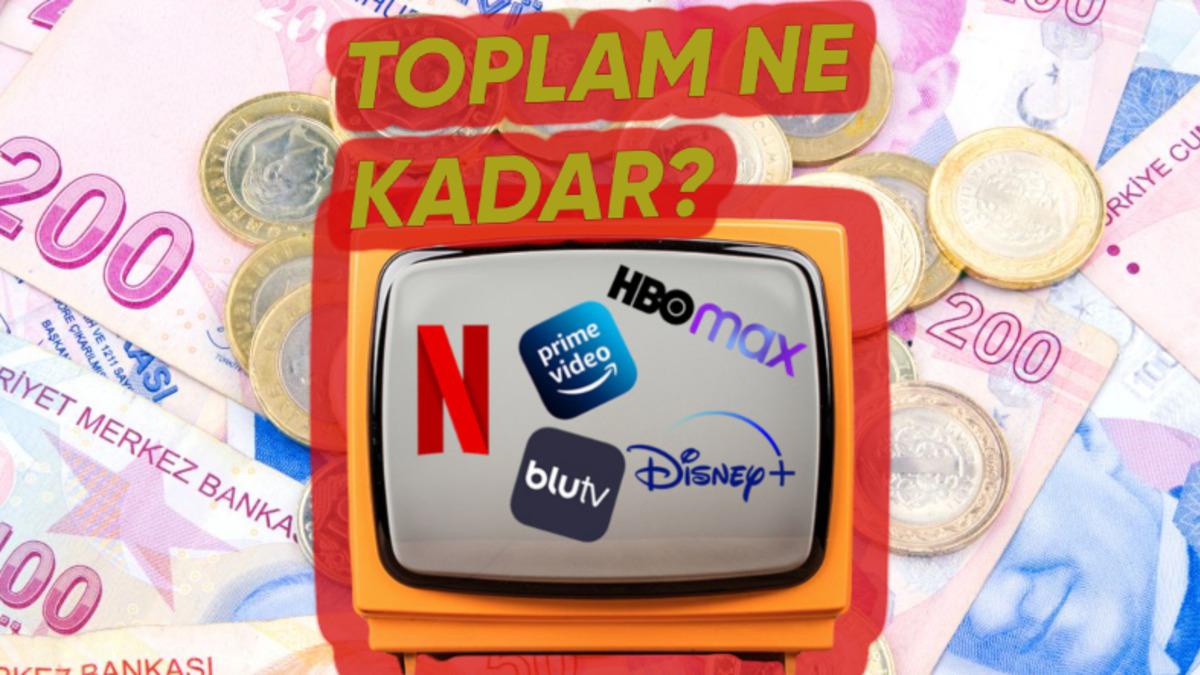 Bütün Yayın Platformlarına Tek Tek Abone Olmak Ne Kadar Tutuyor?