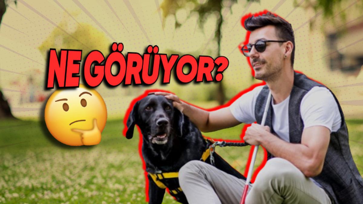 Görme Engelliler Dünyayı Nasıl Görüyor? Hayır, Simsiyah Değil!