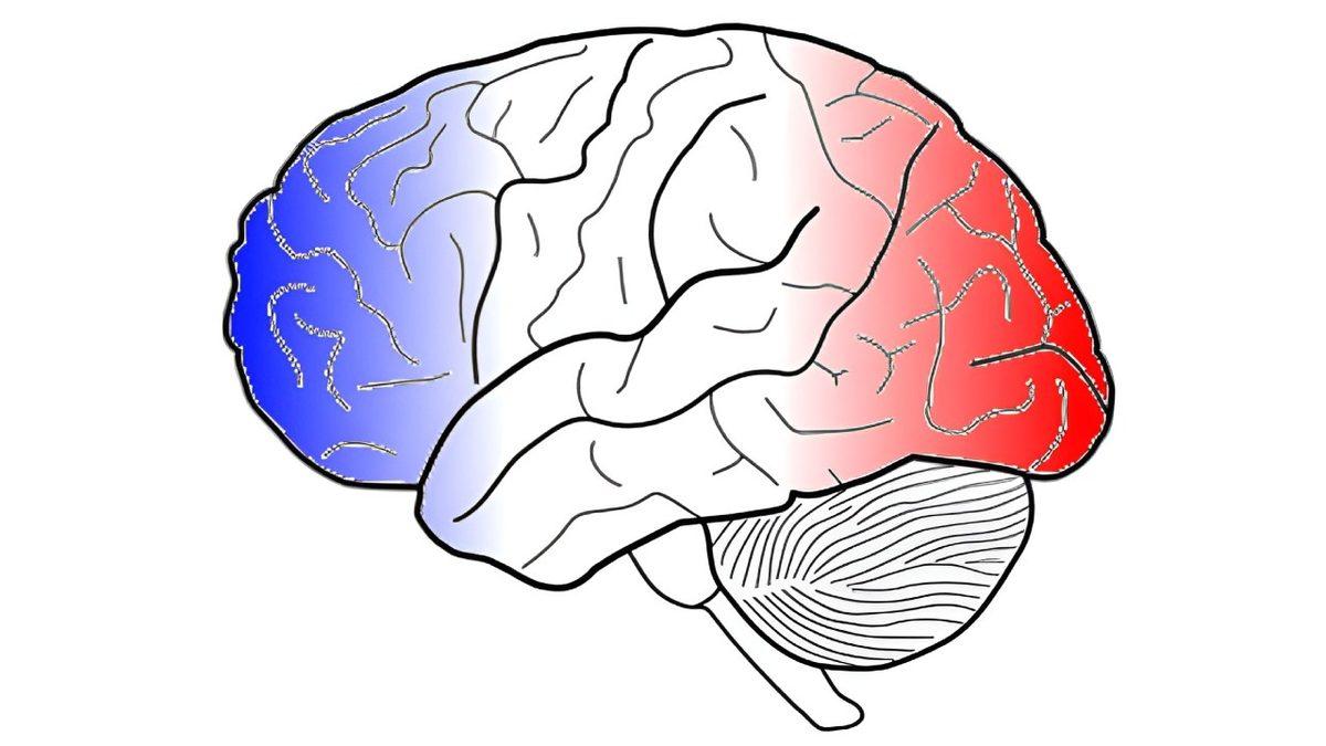 30 Yaşındaki Bir Norveçlinin, II. Dünya Savaşı’nda Aldığı Darbeden Sonra Alman Aksanıyla Konuşmaya Başladığı İlginç Hikâye