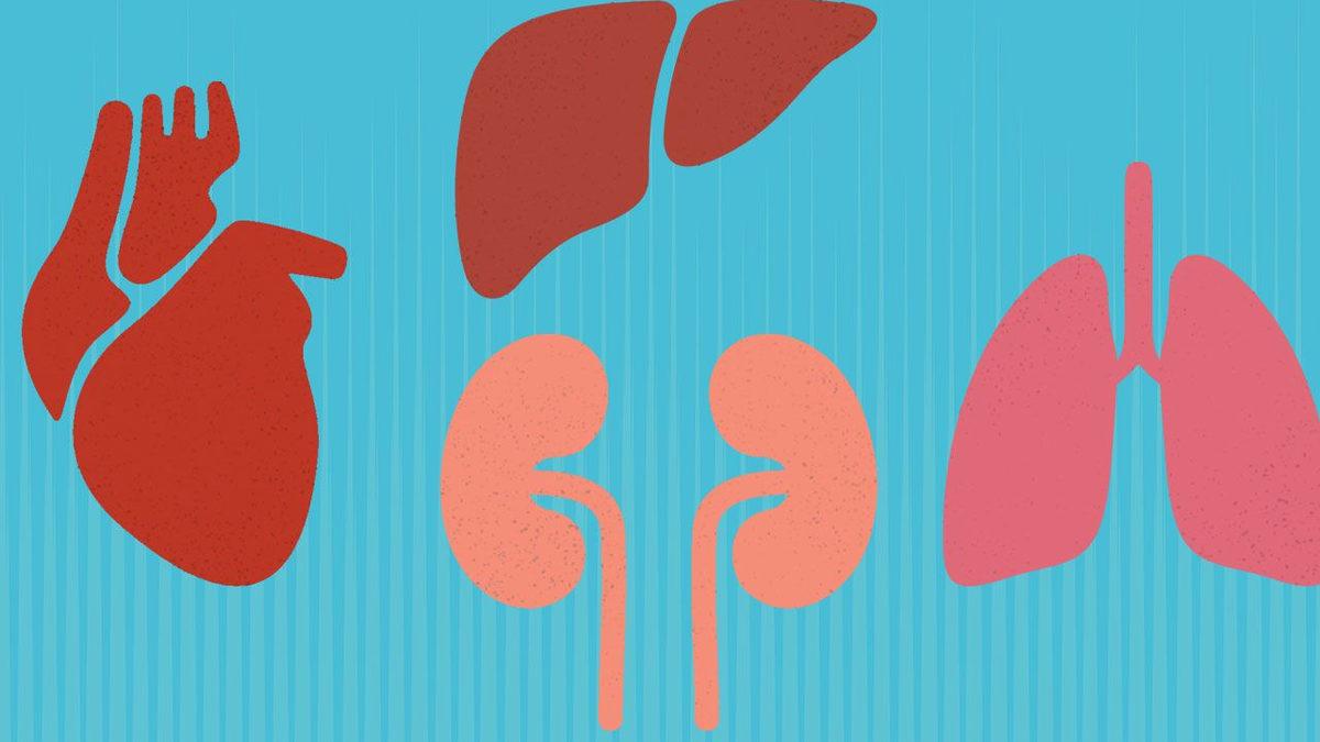 Organ Nakillerinden Sonra Görülebilen 