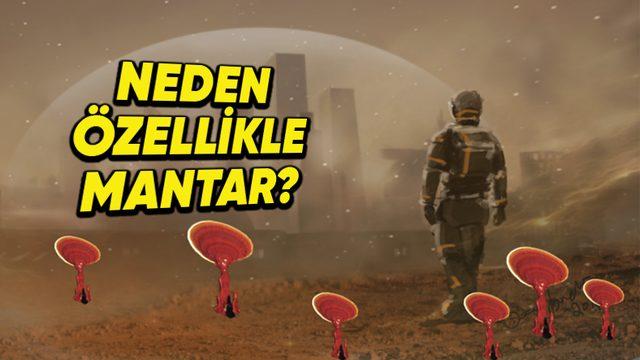 Bilim İnsanları Neden Uzayda Mantar Yetiştirmek İstiyor, Mantarın Sırrı Ne?