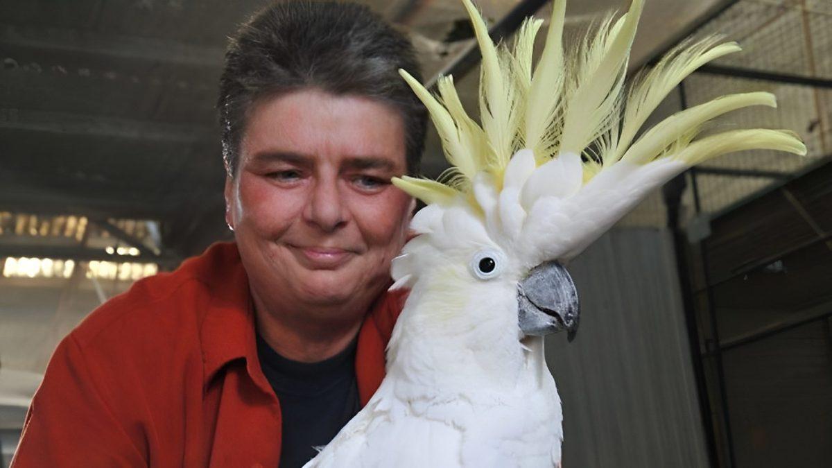 120 Yaşına Kadar Yaşayan Dünyanın En Yaşlı Papağanı: Cocky Bennett