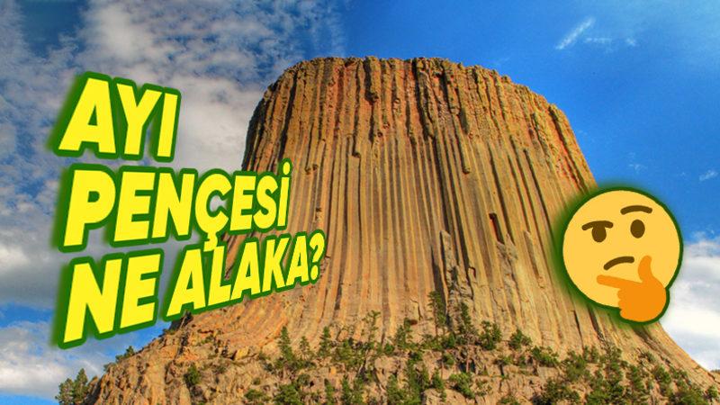 ABD’deki Şeytan Kulesi’nin Bu Eşsiz Yapısının Sırrı Ne? Oluşum Süreci de Epey Büyüleyici!