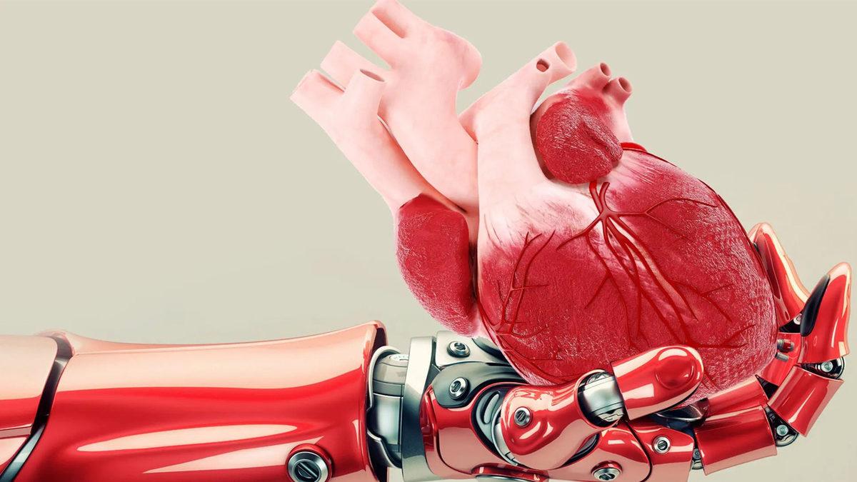 Belki de Gelecek Yıllarda Organ Nakli Diye Bir Şey Kalmayacak: Yapay Organlar ve Biyonik Uzuvlar Hayatımızı Nasıl Kökten Değiştirecek?