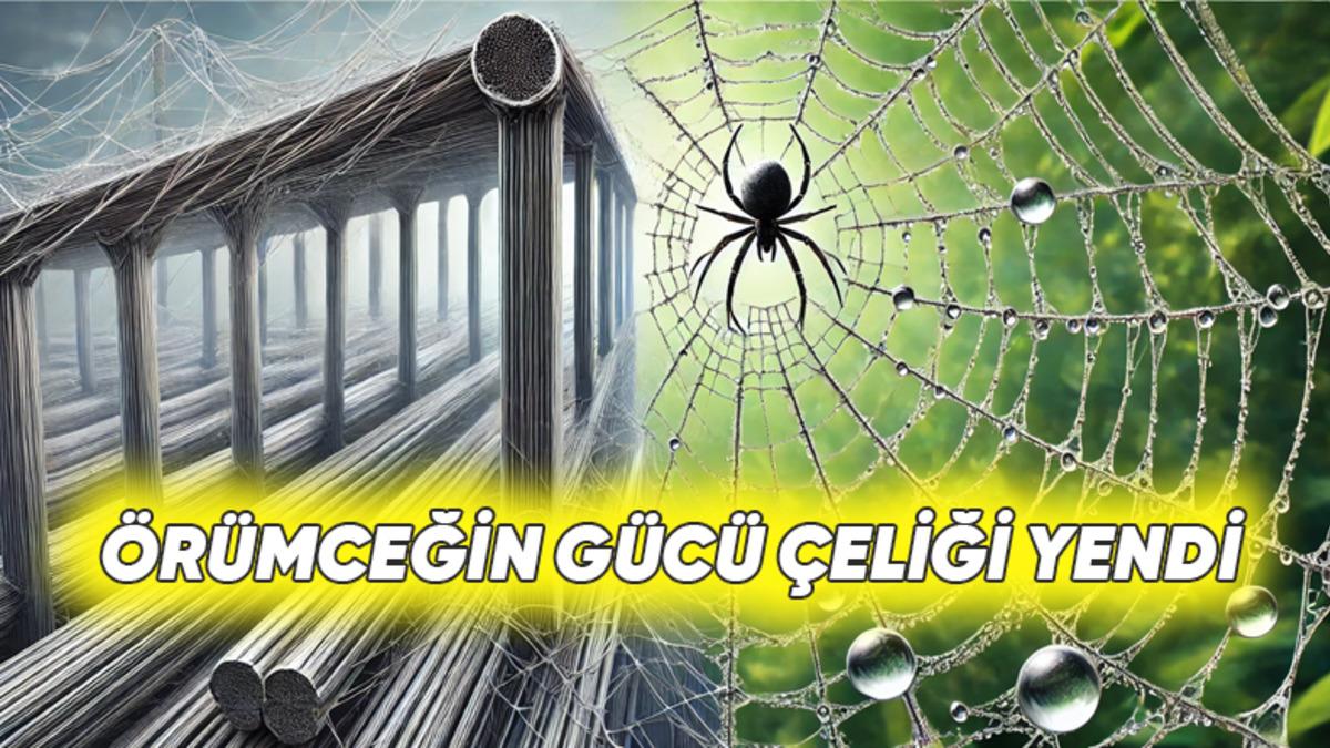 Örümcek Ağları Nasıl Oluyor da Çelikten Bile 5 Kat Daha Güçlü Oluyor?