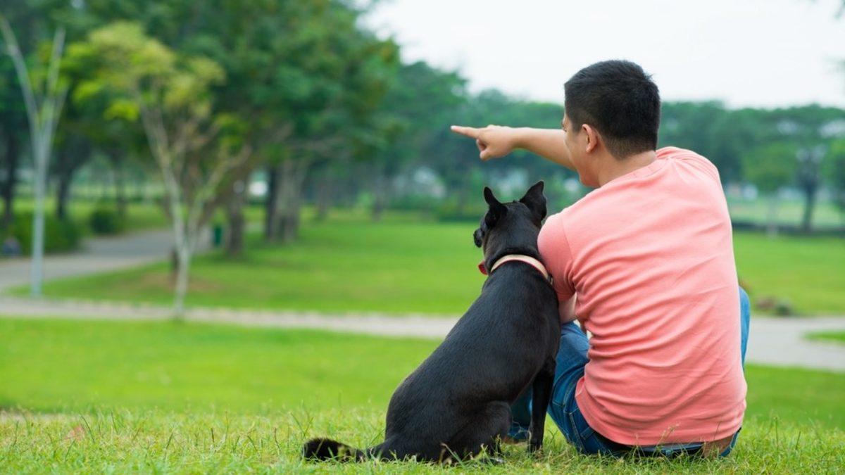 Köpekler Oldukça Basit Bir Komutu Anlamakta veya İşaret Ettiğimiz Bir Nesneye Yönelmekte Neden Bu Kadar Zorlanırlar?