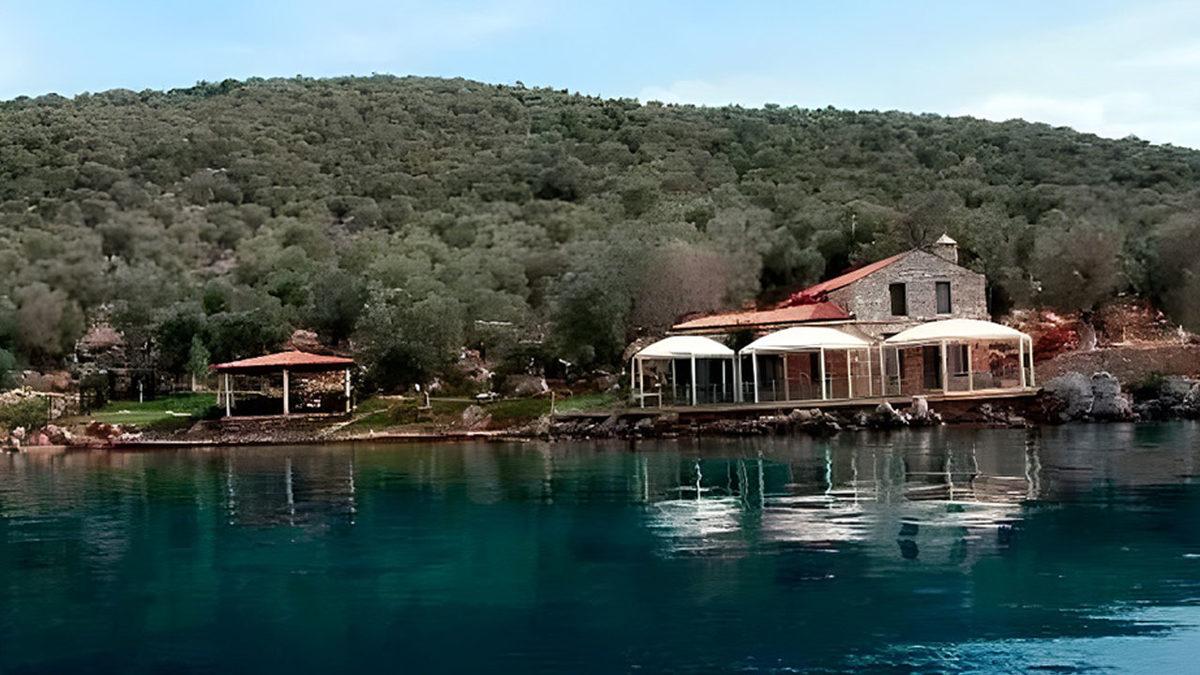 Ahmet Nazif Zorlu Ne Oldu da Otel Yapmak için Milyonlar Saydığı Adaya Otel Yapmaktan Vazgeçti? İşte Zorlu’yu Çevreci Yapan Zeytin Adası’nın Hikâyesi