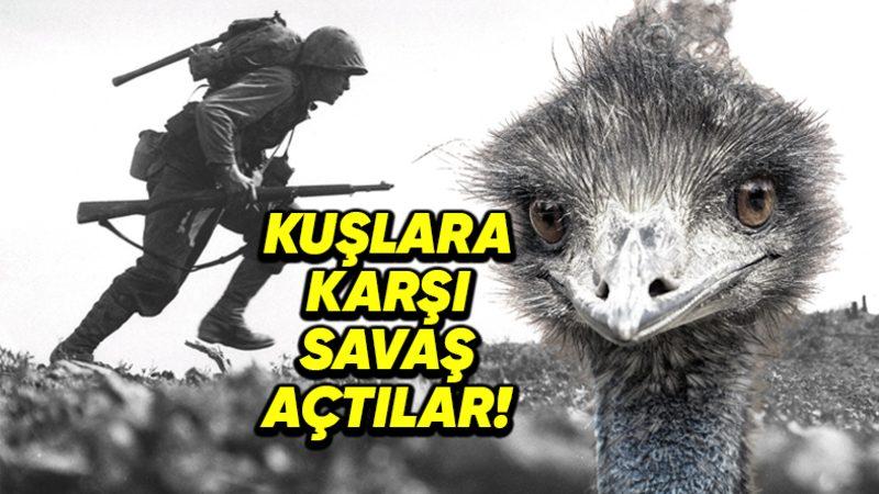 Tam 92 Yıl Önce Avustralya’nın Emu Kuşlarına Açtığı Savaşın İlginç Hikâyesi