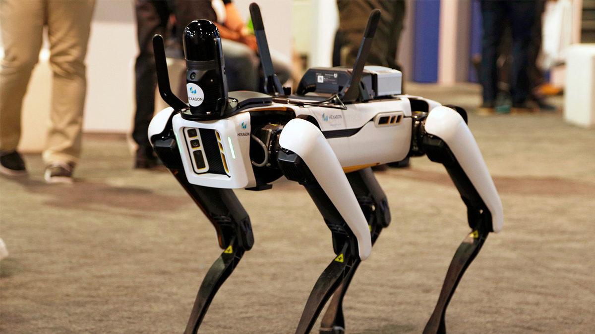 Robotların, Hayvan Şeklinde Tasarlanmasının Çok Mantıklı Bulacağınız Sebepleri