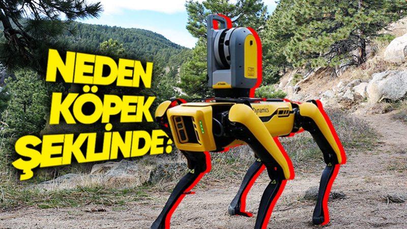 Robotların, Hayvan Şeklinde Tasarlanmasının Çok Mantıklı Bulacağınız Sebepleri