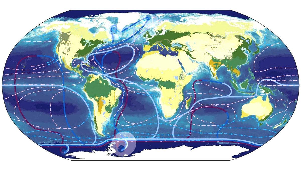 Okyanusların İklim Değişimindeki Hayati Rolünü Anlattık: Onlar Olmadan Yaşayamayız!