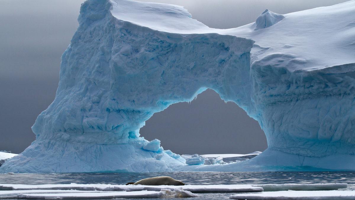 Okyanusların İklim Değişimindeki Hayati Rolünü Anlattık: Onlar Olmadan Yaşayamayız!