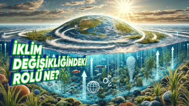 Okyanusların İklim Değişimindeki Hayati Rolünü Anlattık: Onlar Olmadan Yaşayamayız!