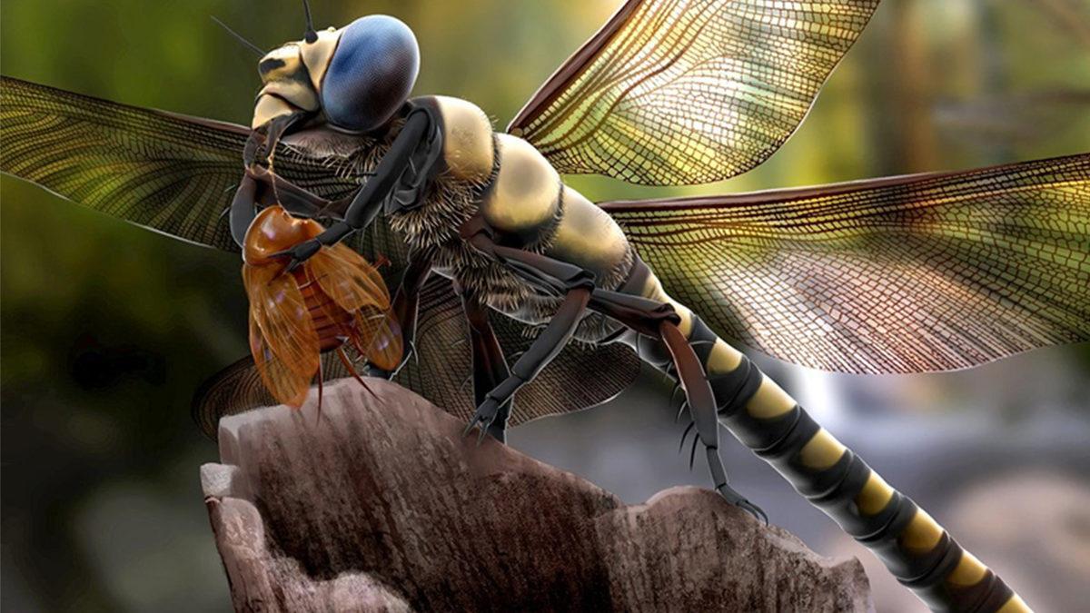 Böcekler Neden Diğer Hayvanlar Gibi Koca Koca Boyutlara Ulaşamıyor? Emin Olun Büyümelerini İstemezdiniz!