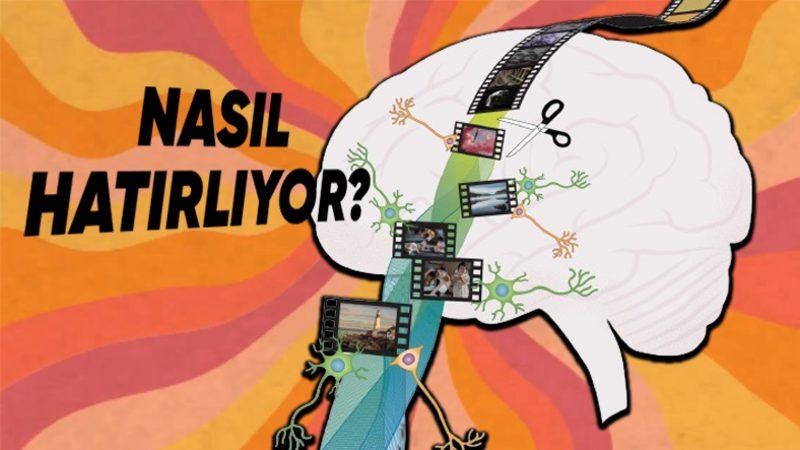 Beynimiz, 25-30 Yıl Önceki Bir Anıyı Tüm Detaylarıyla Hatırlamayı Nasıl Başarıyor?