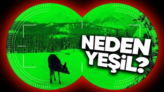 Gece Görüş Kameralarının Neden Çoğunlukla Yeşil Olduğunu Öğrenince "Çok Mantıklıymış!" Diyeceksiniz