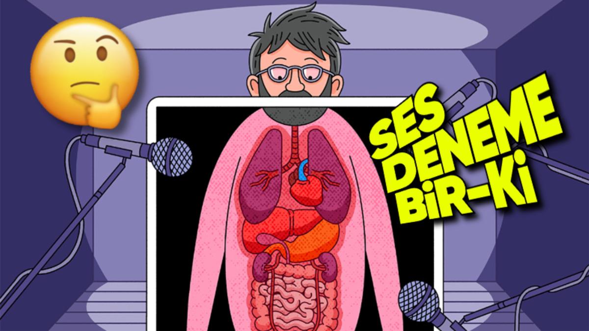 İç Organlarımız Bize Bu Kadar Yakın Olmasına Rağmen Neden Çalışma Seslerini Duyamıyoruz?