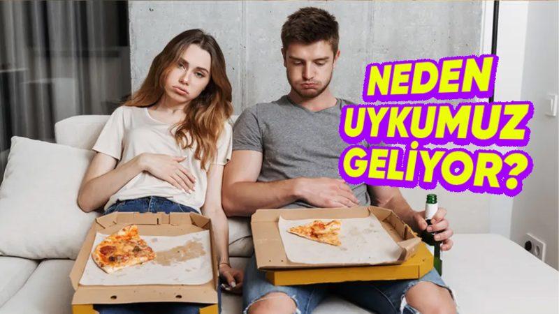 Yemek Yedikten Sonra Çöken Ağırlığın ve Bir Köşede Uyuklama İsteğinin Sebebini Açıklıyoruz!
