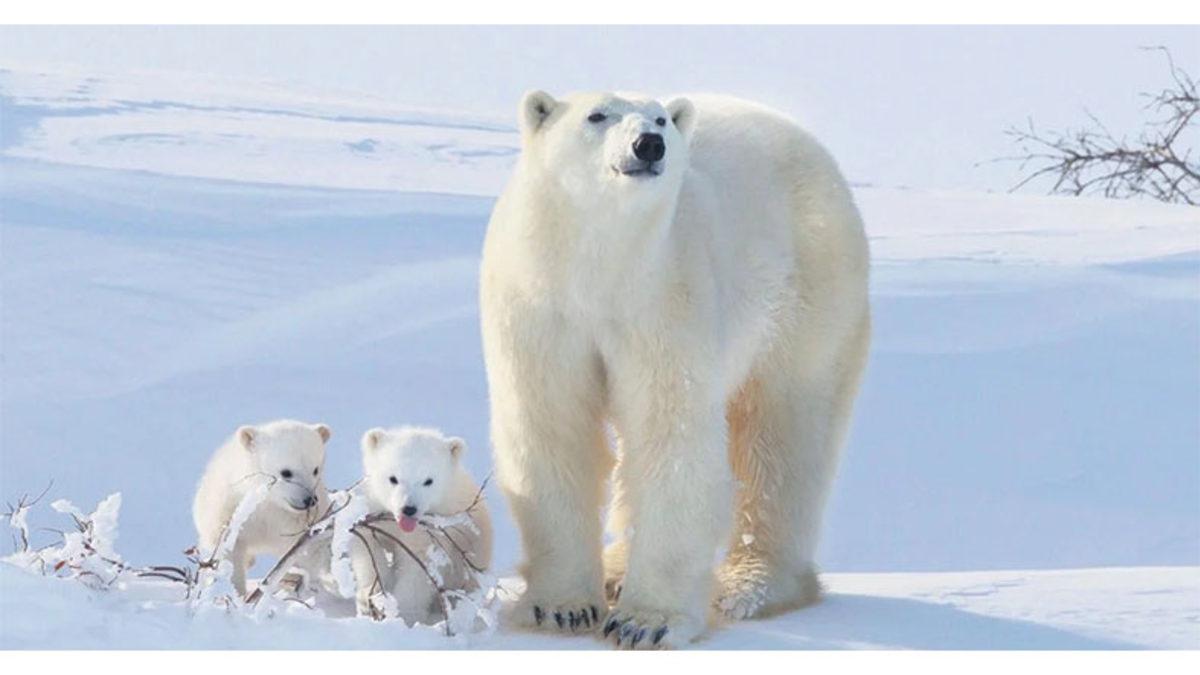 Bir Şeyi Düşünmek İstemedikçe Aklınıza İnatla Sadece Onun Gelmesinin Sebebini Açıkladık!