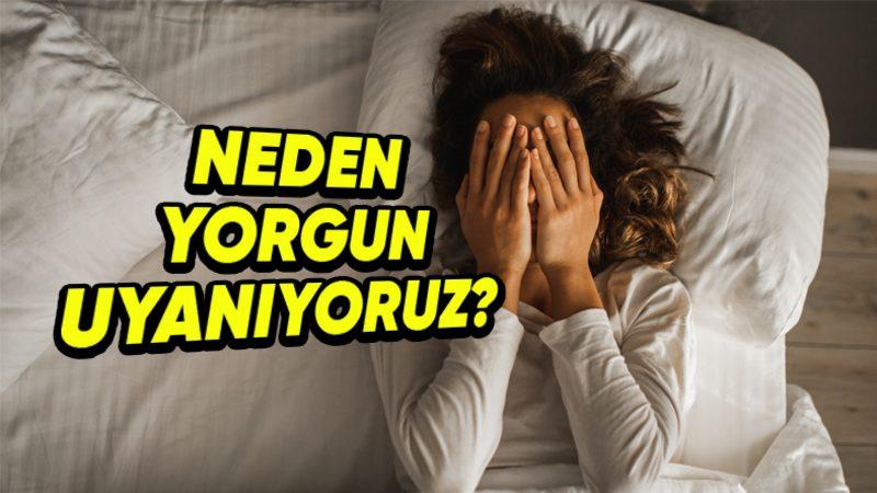 Yeterince Uyumuş Olsak Bile Sabah Kalktığımızda Neden Hâlâ Yorgun Hissederiz?
