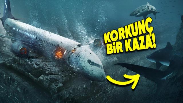 Yolcuların Köpekbalıklarının Arasına Düştüğü, Gerilim Filmlerini Aratmayan Uçak Kazası