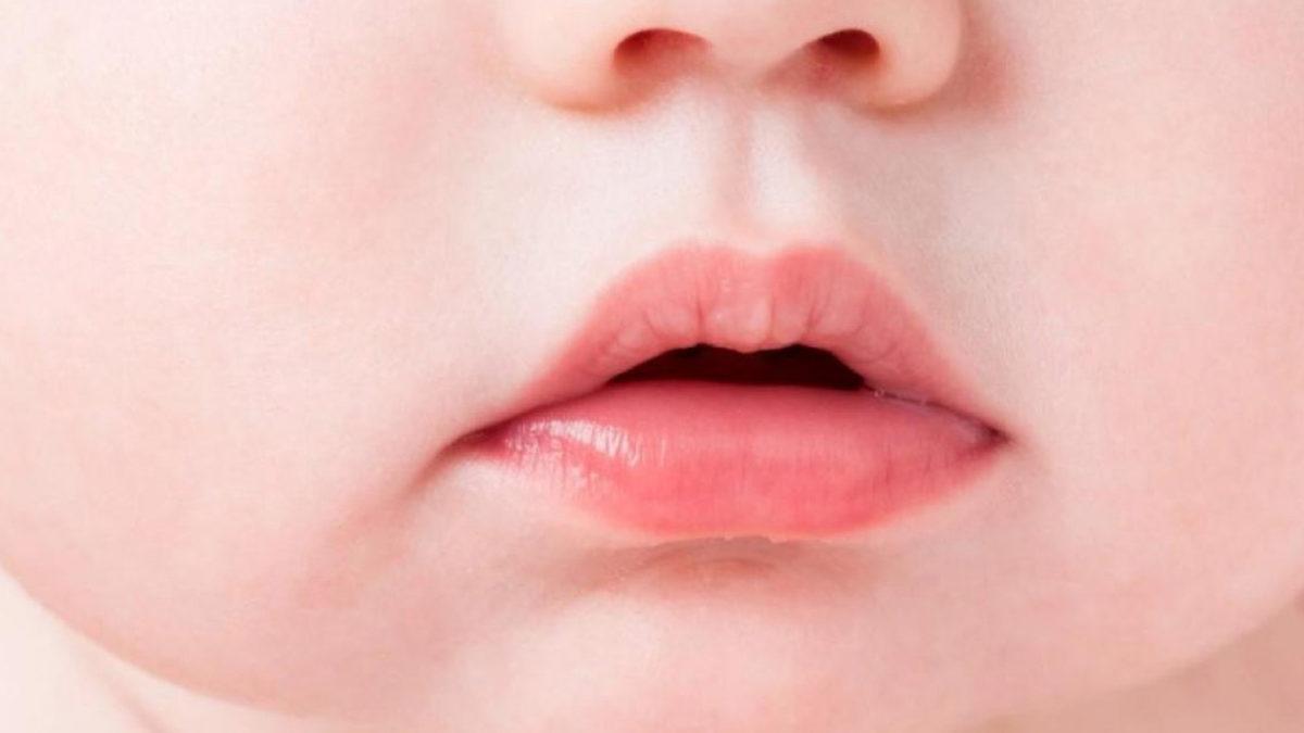 Burnumuzun Altında Yer Alan Bu Küçük Oluğun İşlevi Ne?