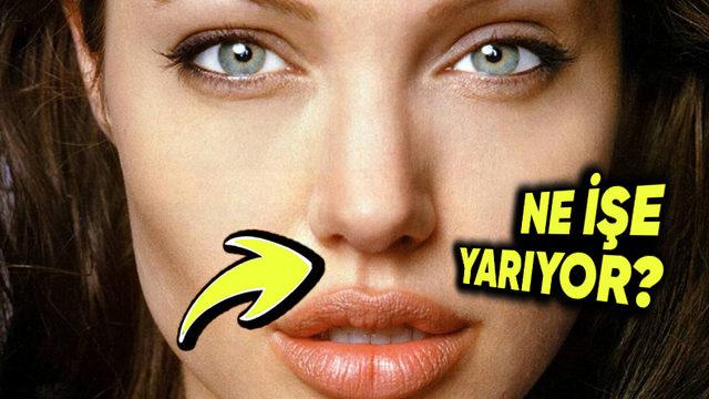 Burnumuzun Altında Yer Alan Bu Küçük Oluğun İşlevi Ne?