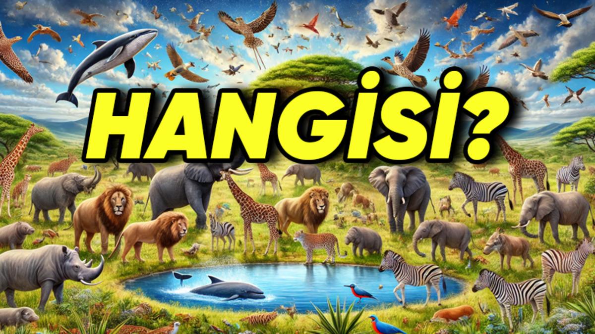 Dünyanın En Büyük Beynine Sahip Hayvan Hangisi? Boyu, İnsan Beyninin 6 Katı Kadar!