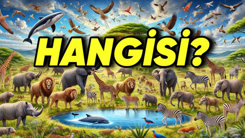 Dünyanın En Büyük Beynine Sahip Hayvan Hangisi? Boyu, İnsan Beyninin 6 Katı Kadar!