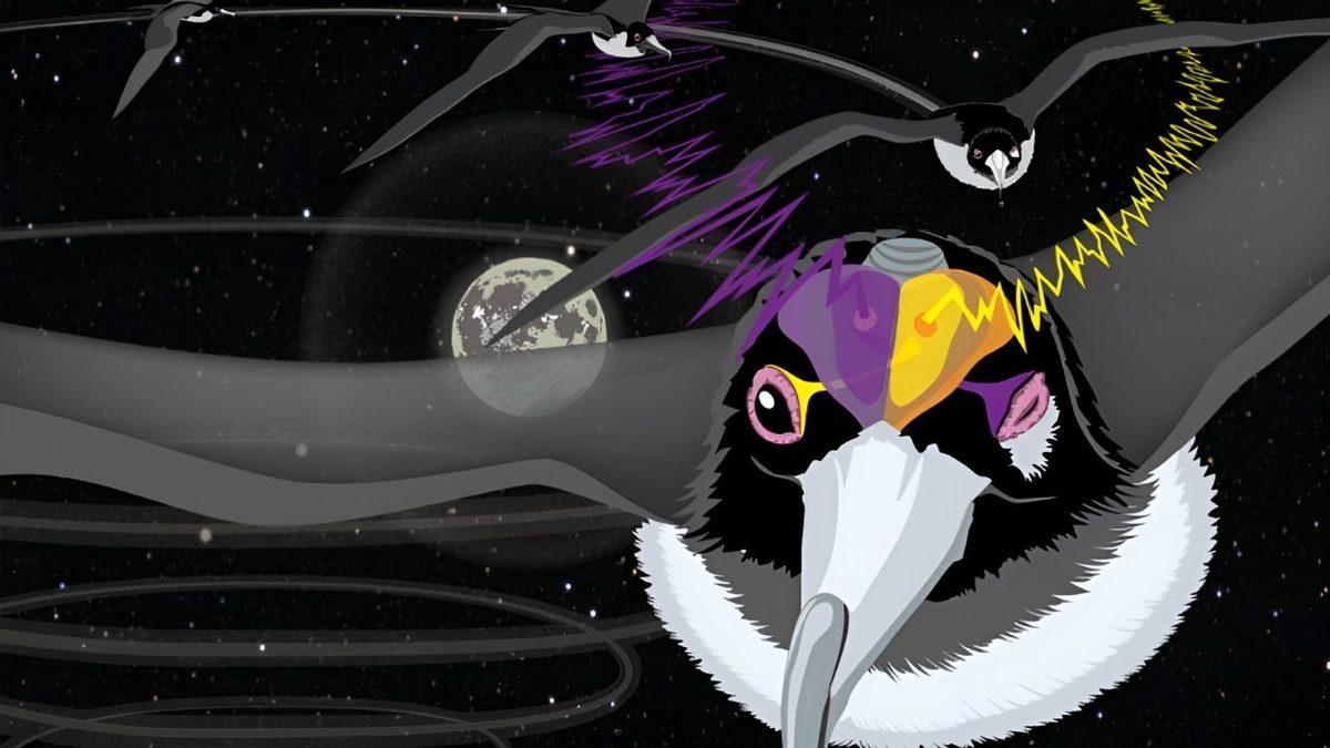 Haftalarca Hatta Aylarca Hiç Durmadan Kanat Çırpan Kuşlar, Uçarken Uyuyabilir mi?