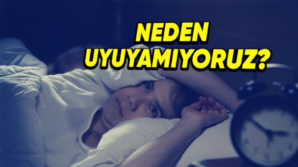 Farklı Bir Yerde Uyumaya Çalıştığımızda Neden Yerimizi Yadırgarız?