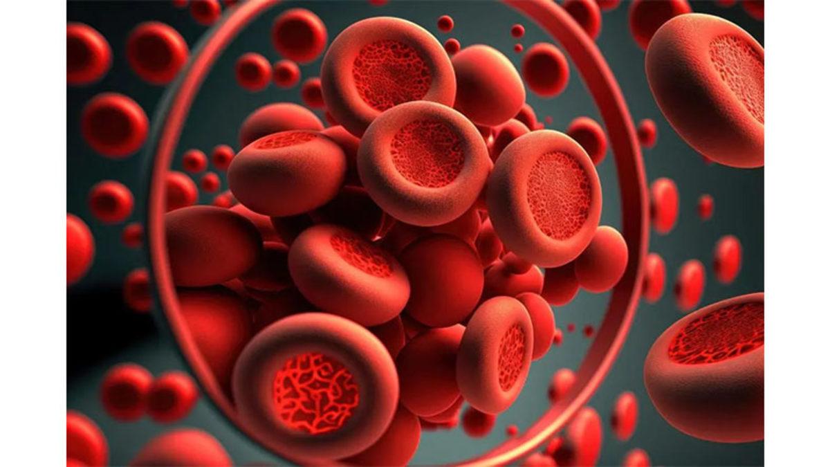 Kan Neden Demir Gibi Metalik Bir Tada Sahip? (Okurken Bile Tadı Ağzınıza Gelebilir)