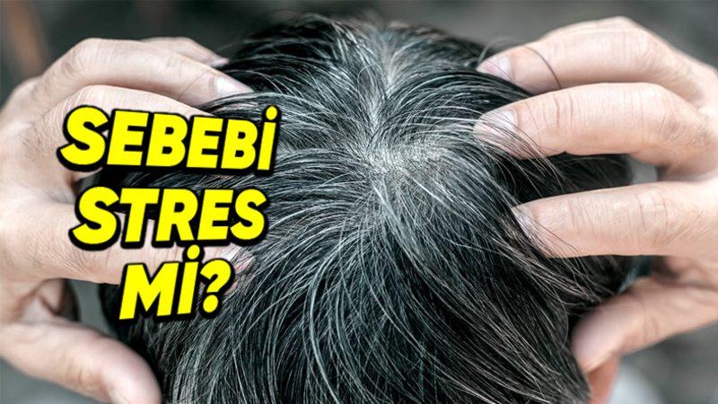 Stres Gerçekten Saç Beyazlatır mı, Yoksa Bu Bir Şehir Efsanesi mi?