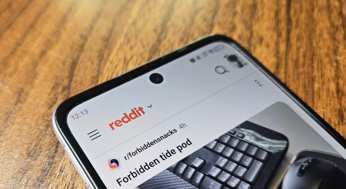 Reddit, Yapay Zekâ Destekli Arama Sonuçları Üzerinde Çalışıyor: Ücretli Subreddit’ler de Yolda!