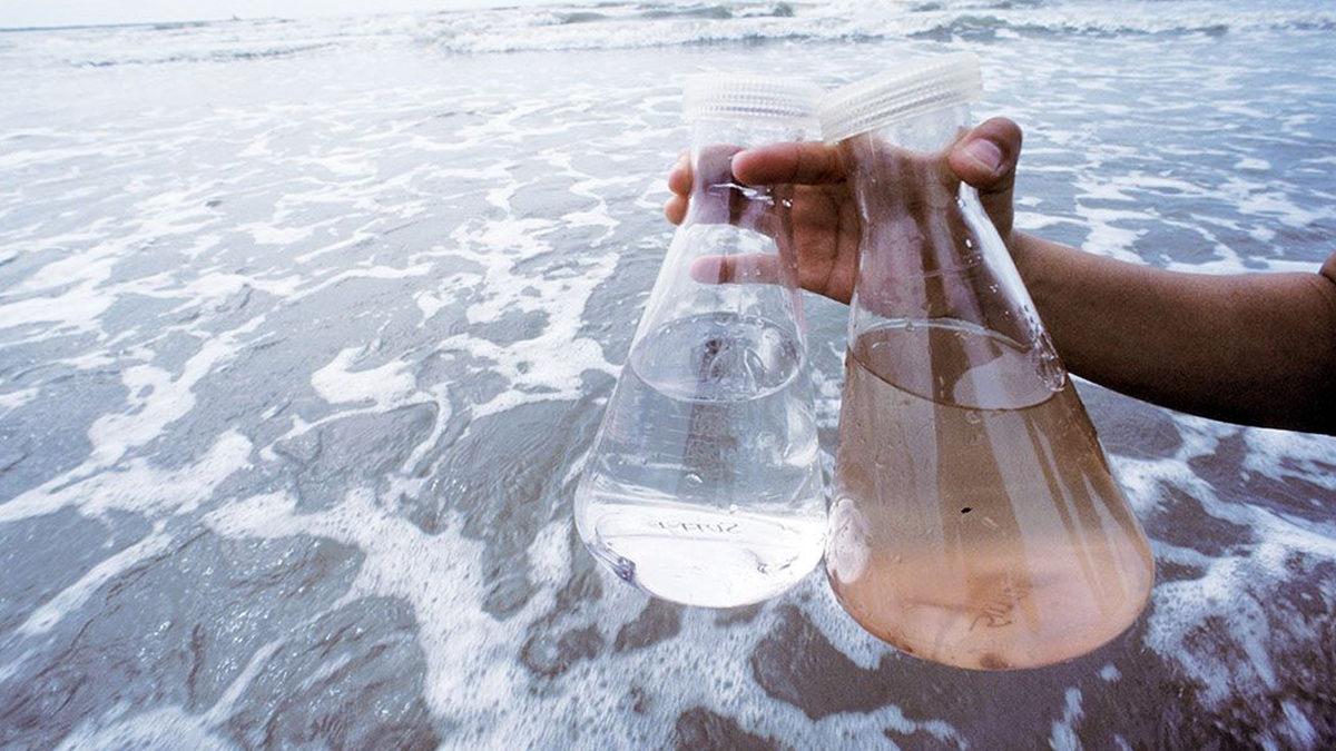 Deniz Suyu Yaralara Gerçekten İyi Geliyor mu Yoksa Şehir Efsanesinden mi İbaret?