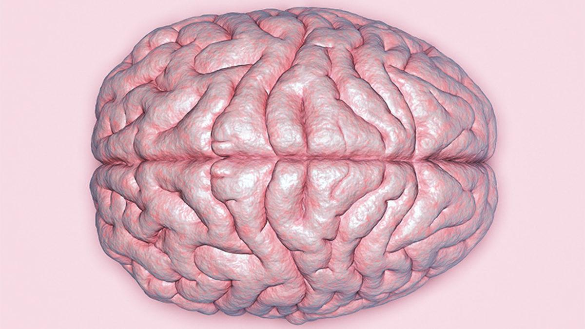 Her Yeni Yaş Aldığımızda Bizimle Yaşlanan Beynimize Zaman İçinde Neler Oluyor?