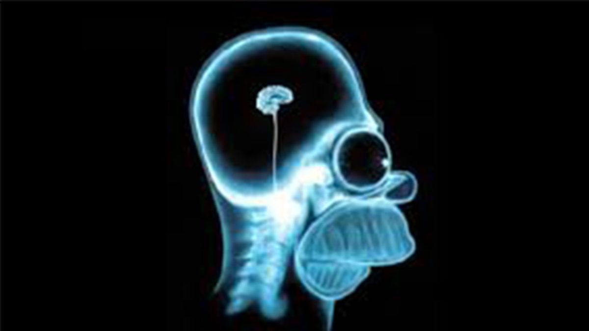 Her Yeni Yaş Aldığımızda Bizimle Yaşlanan Beynimize Zaman İçinde Neler Oluyor?